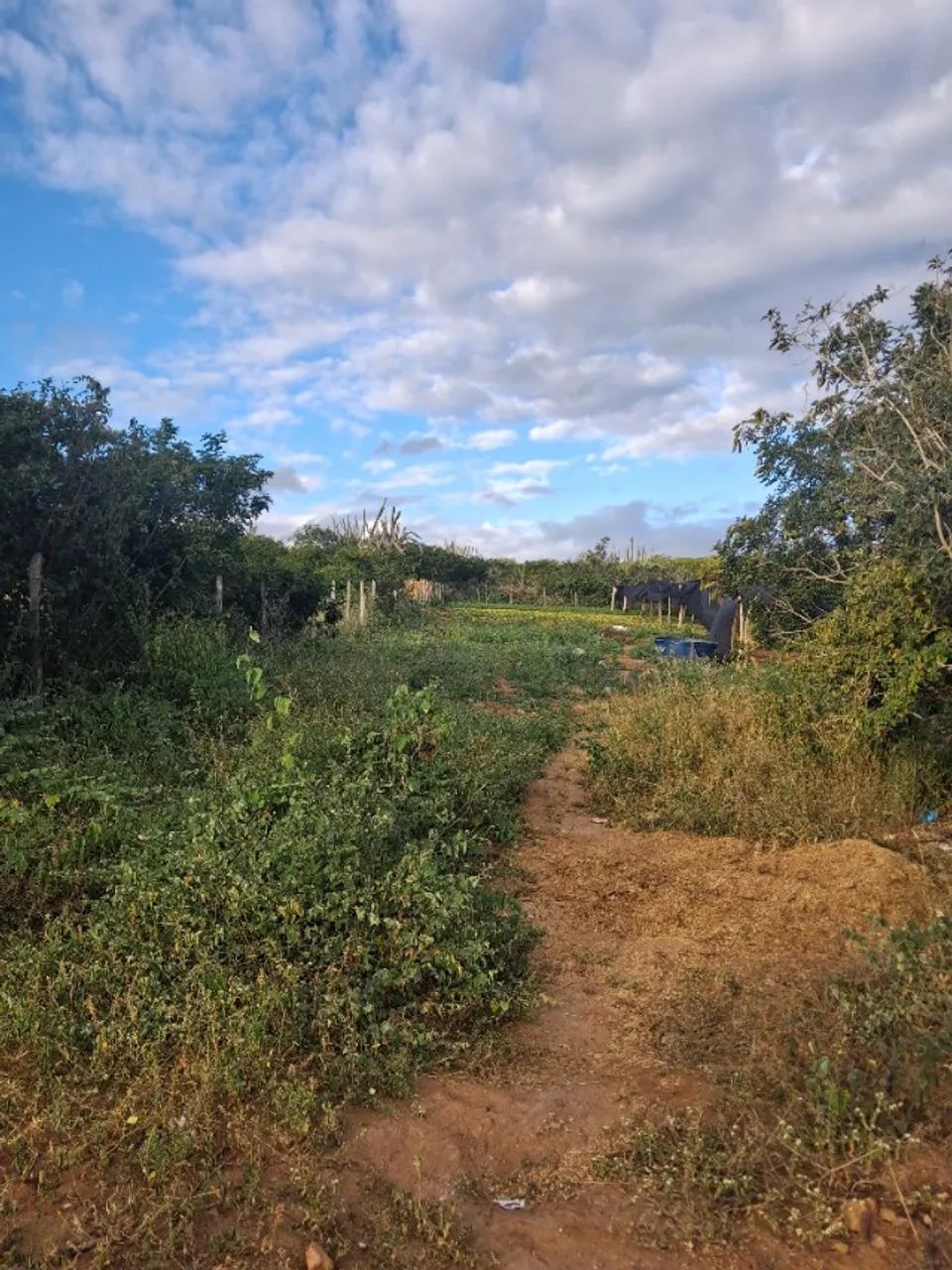 Terreno 10x63m Em Conceição do Coité - Açude Itarandi - Foto 2