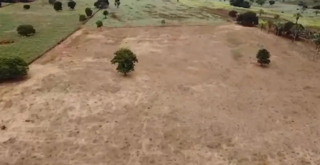 FAZENDA À VENDA  COCOS/BA    475 HECTARES  DUPLA APTIDÃO - Foto 2