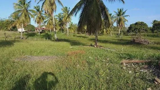Fazenda com 28 hectares na região de Touros - Foto 2