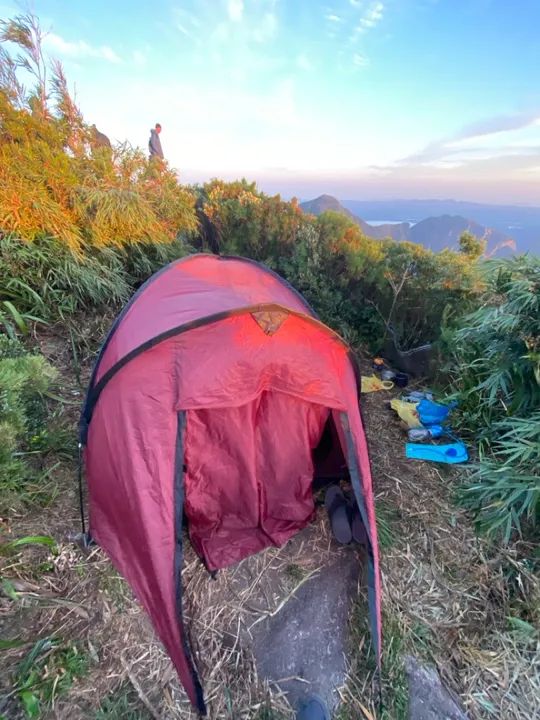 Barraca Phoenix 2 - Guepardo