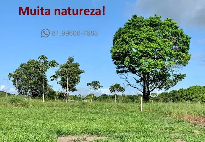 Lote 1.000m2 condomínio Jardins de Aldeia - Foto 15