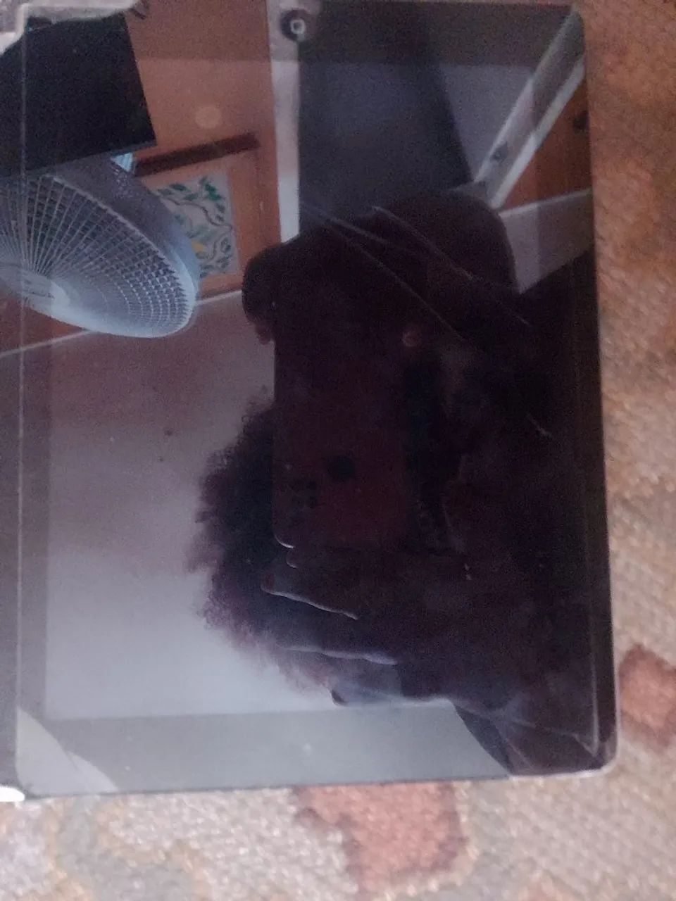 iPad 3° geração 64291674201602121