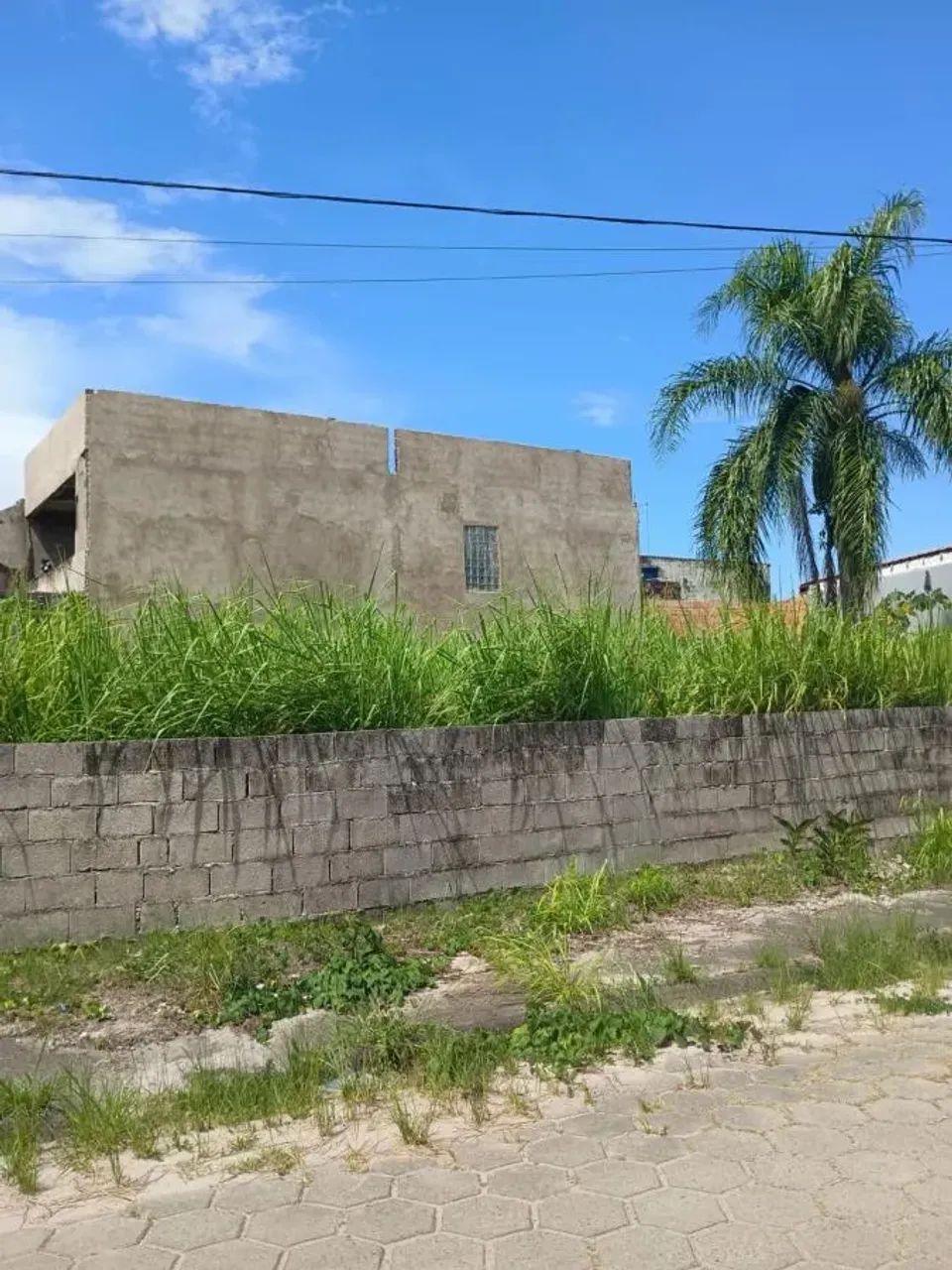 Terreno para venda possui 413 metros quadrados em Jardim Palmeiras - Itanhaém - SP - Foto 3