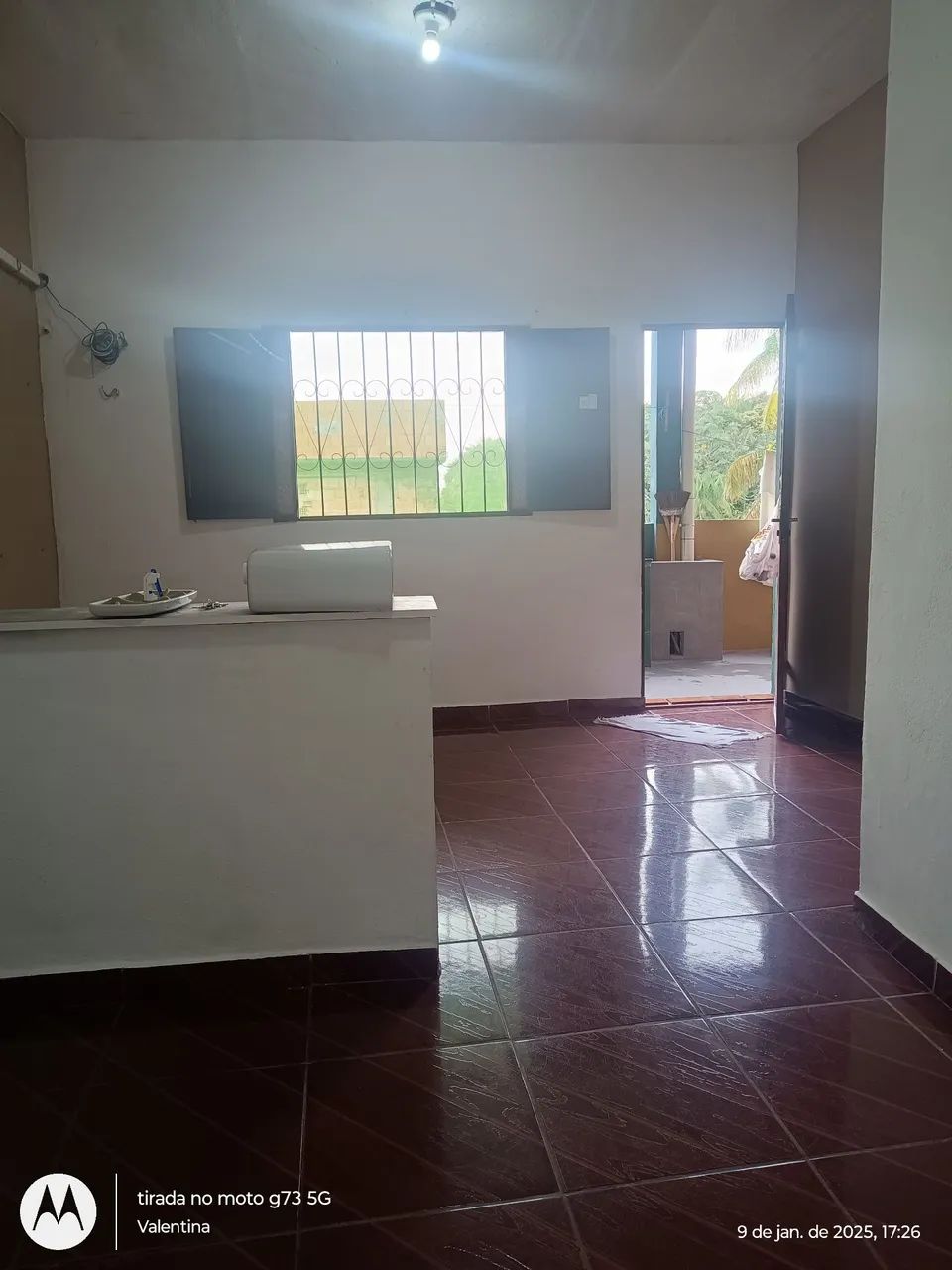Foto - Manaus - Coroado