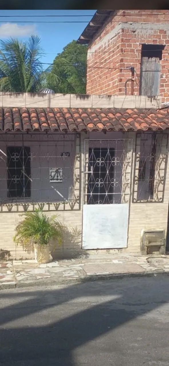 Foto - Mata de São João - 