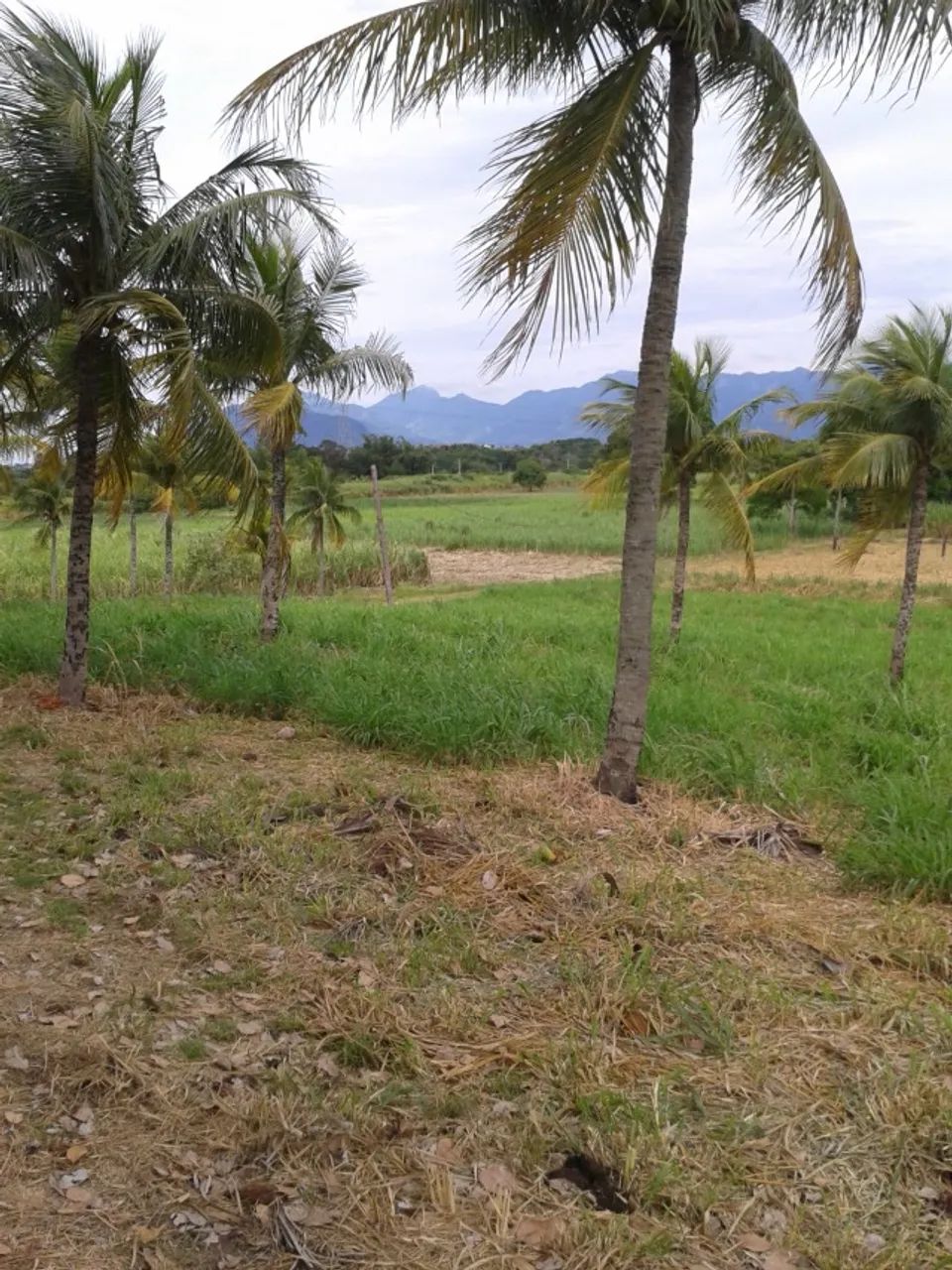 Terreno Itaguai 92000m2 - Piranema - Porto de Itaguaí - Rio Santos - Arco Metropolitano - Foto 5