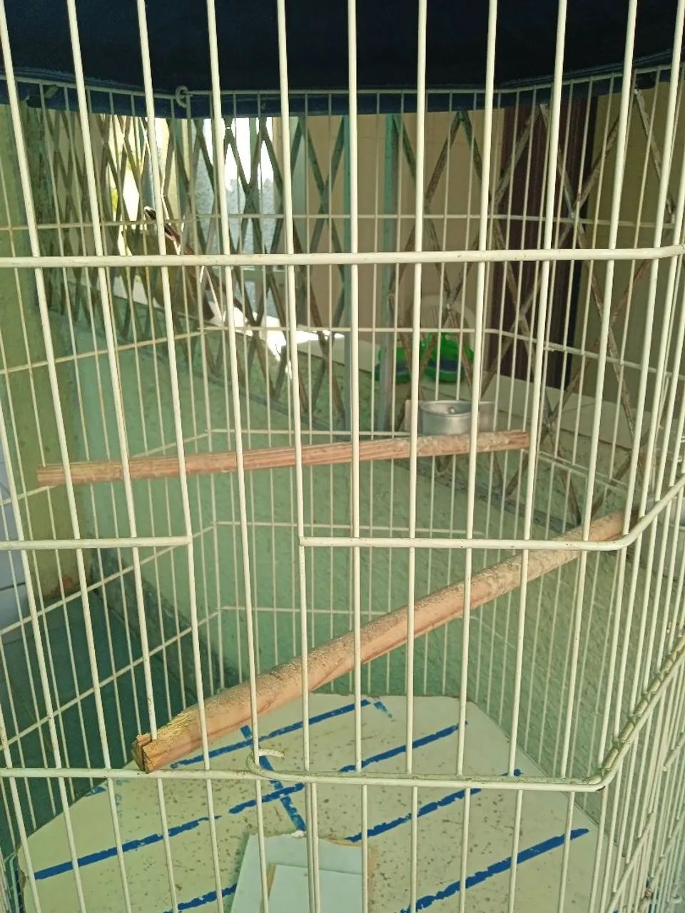 Viveiro Bragança  - Foto 4