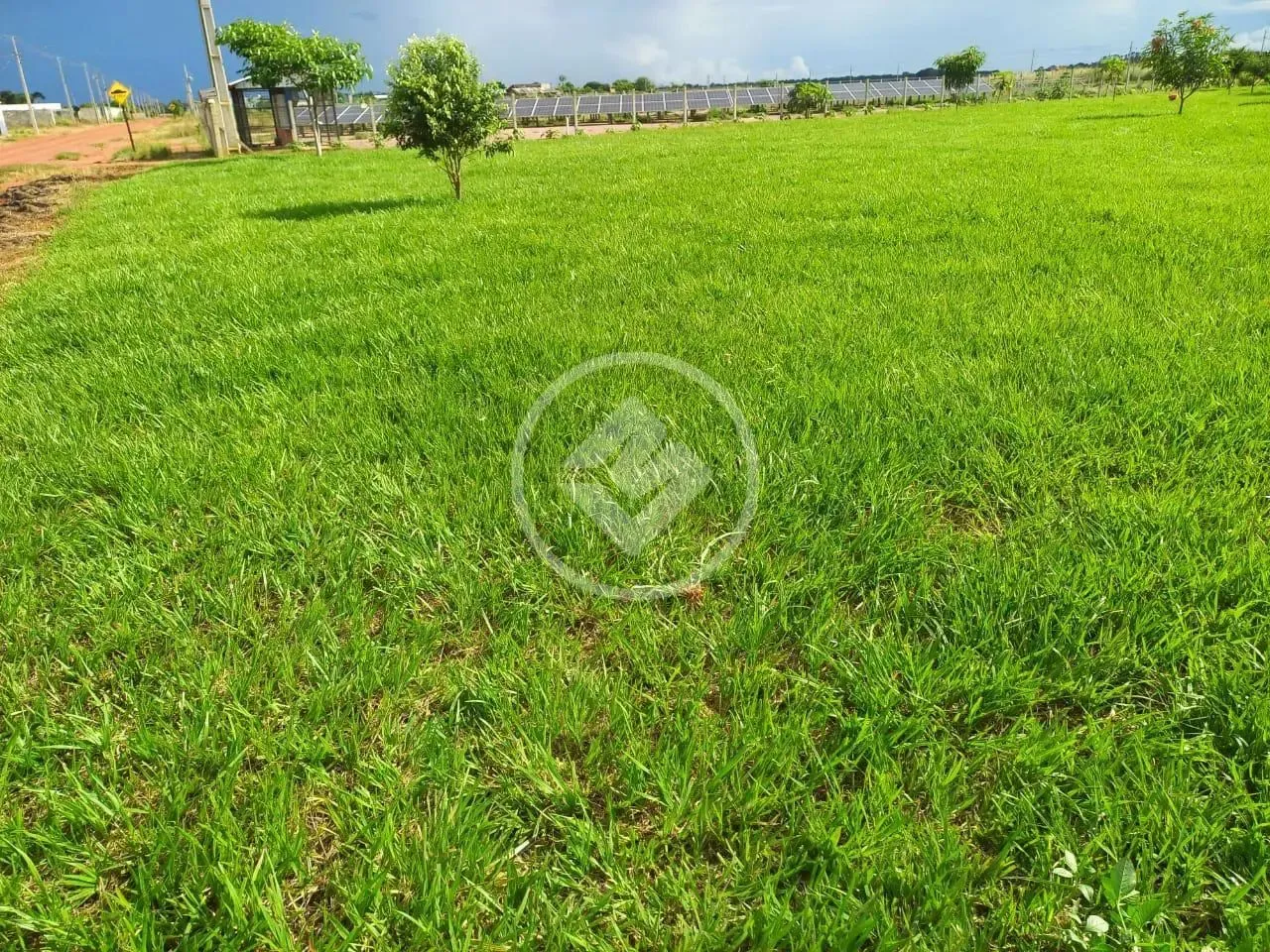CHÁCARA NA REGIÃO DA BRÍGIDA 3800 M² SINOP-MT codigo: 114743