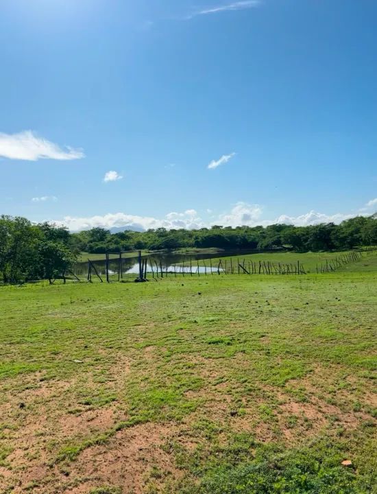 Fazenda Caninde com 51 hectares oportunidade - Foto 5