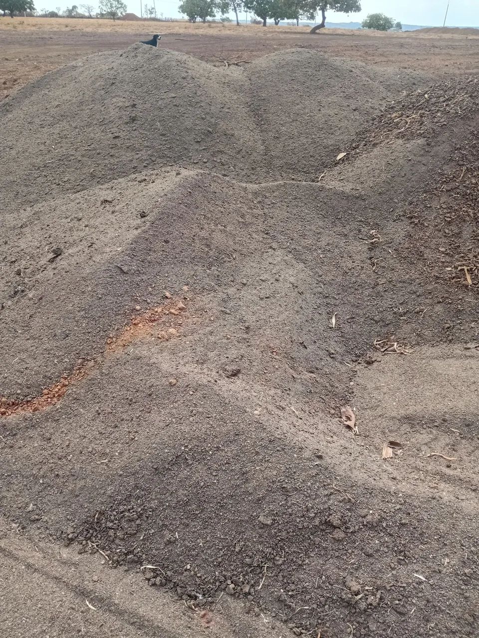 Adubo de Gado Confinado - Foto 6