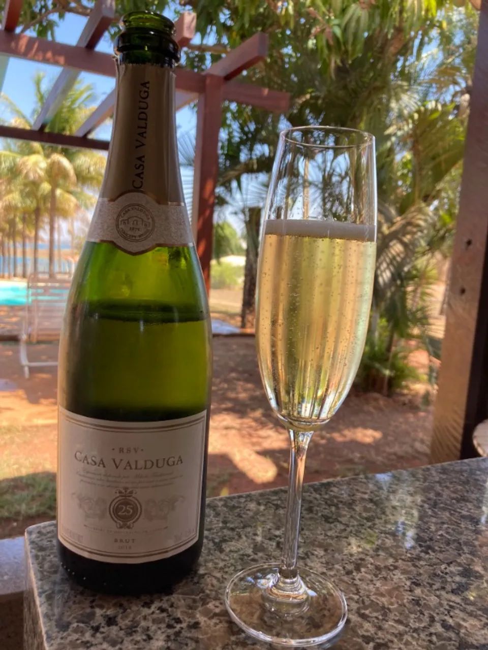 Lago das Brisas - Buriti Alegre -Go - Foto 6