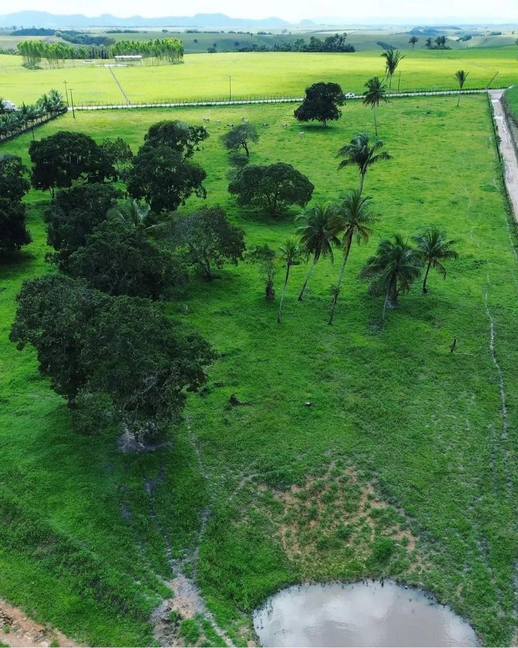 Rancho em Atalaia  - Foto 6