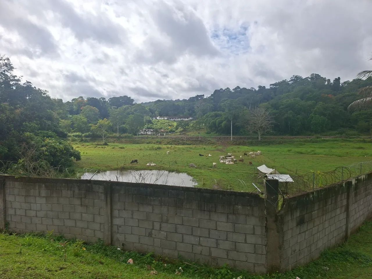 FAZENDA PRODUTIVA À VENDA EM URUÇUCA - DOCUMENTAÇÃO REGULARIZADA - Foto 4