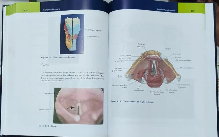 Anatomia humana livro  - Foto 2