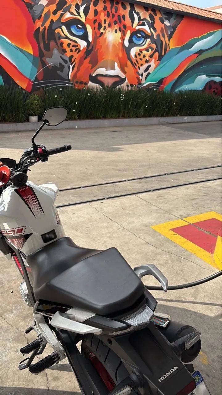 Cb Twister 250  - Foto 4