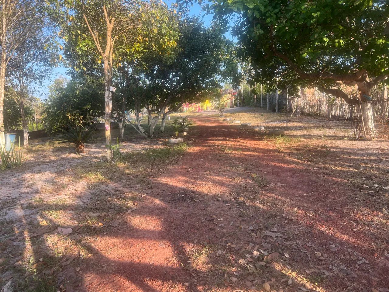 Sítio em Morros  - Foto 5