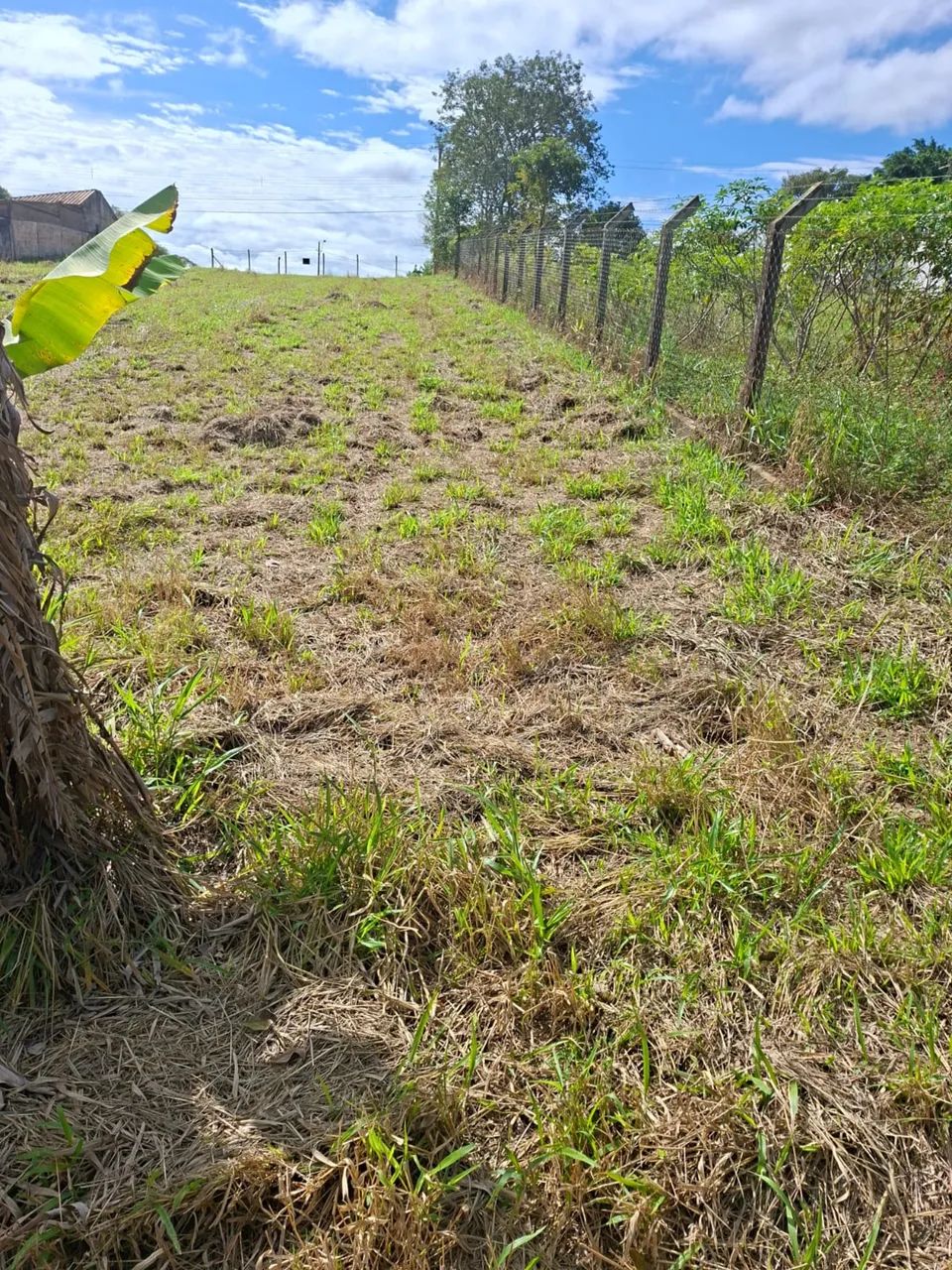 Terreno Pilar do Sul 
