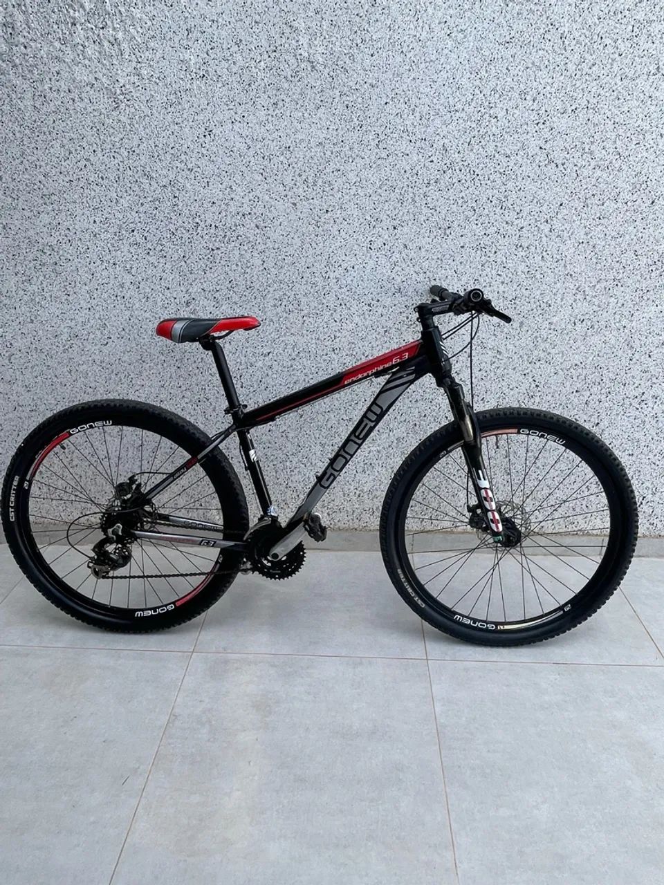 Bicicleta Gomes aro 29
