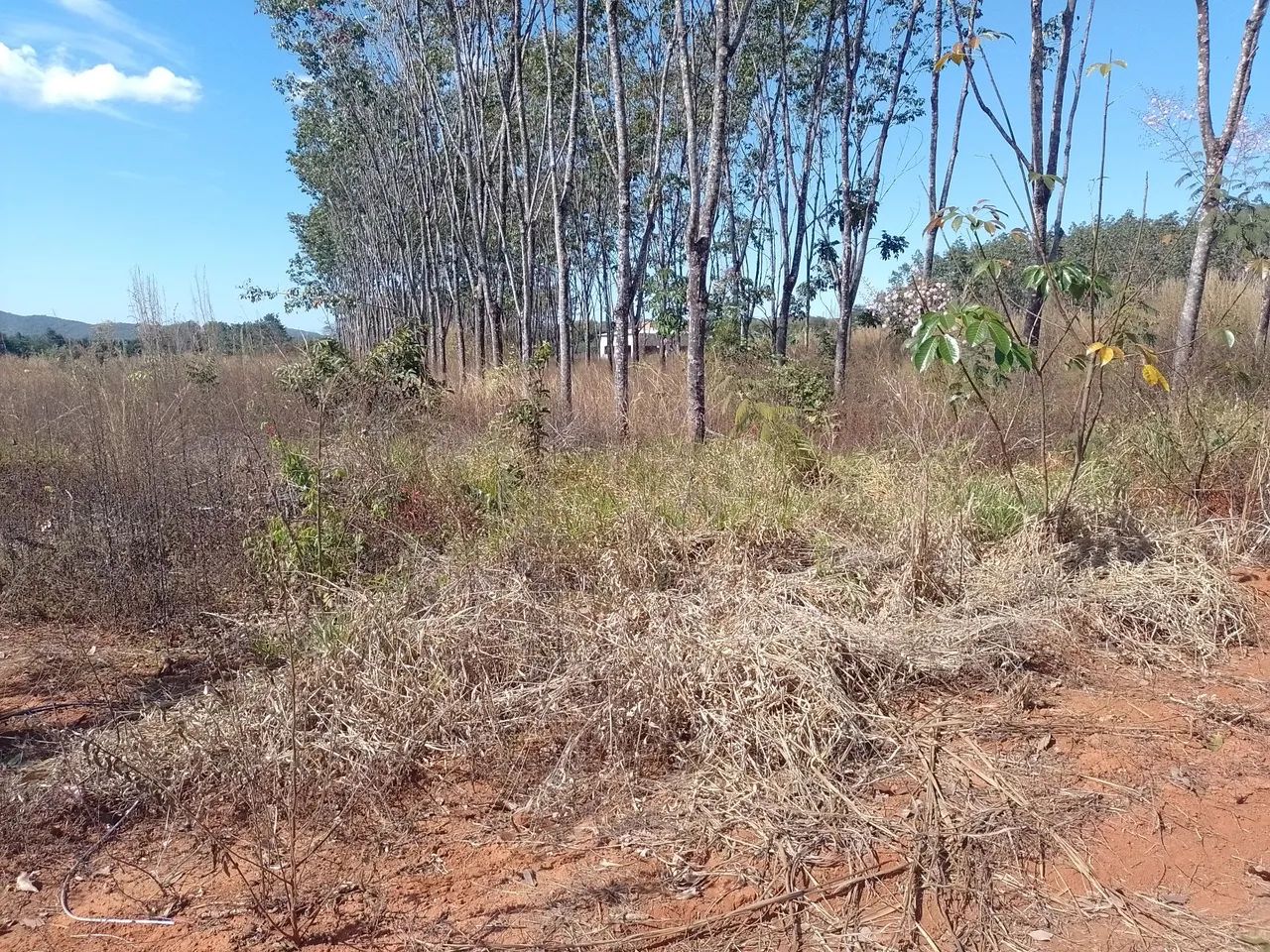 Lote  - Foto 4