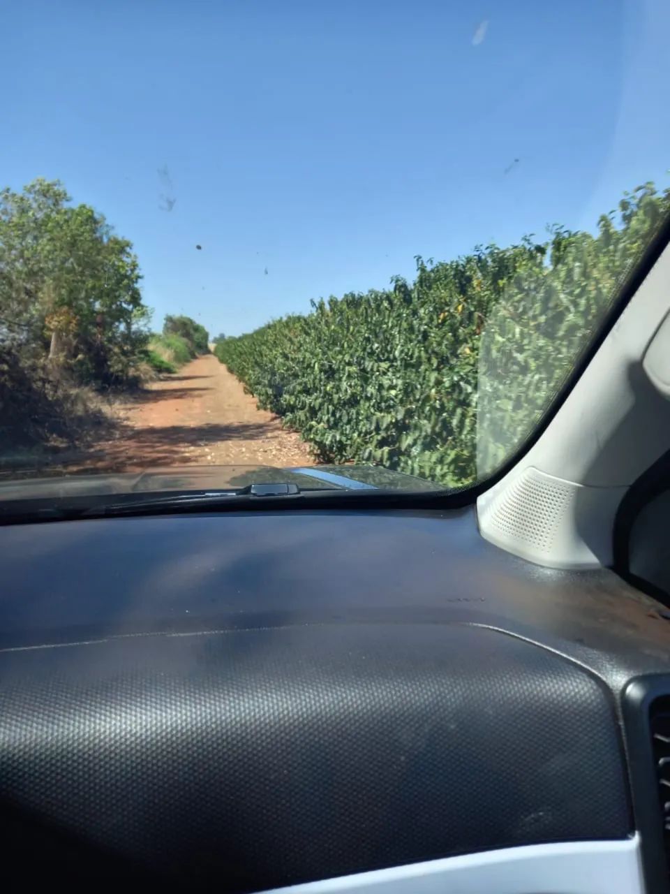 Fazenda de café a venda próximo a coromadel  - Foto 2