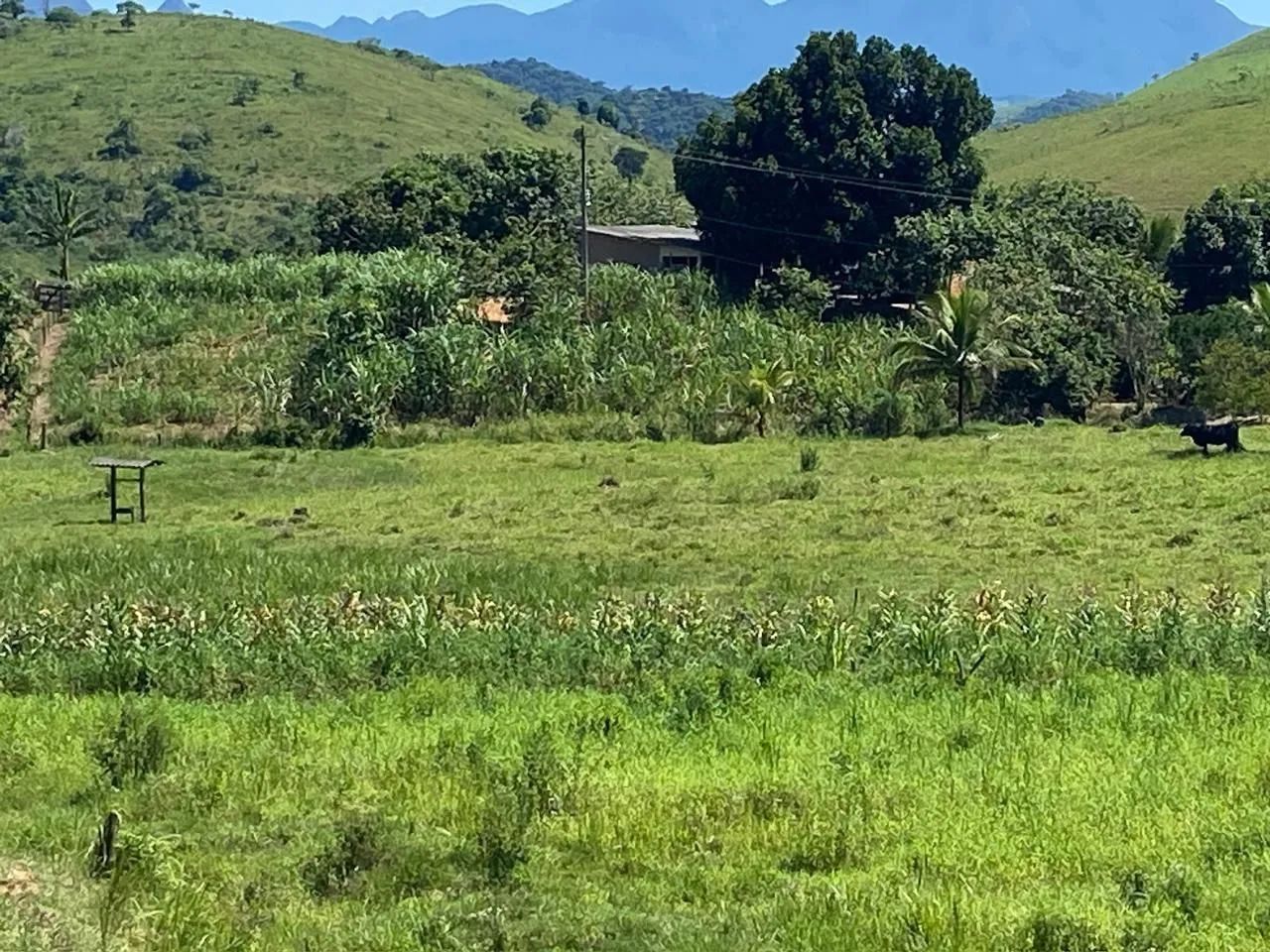Sítio em em Conceição de macabu  - Foto 5