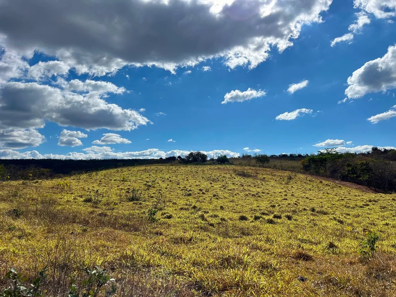 Sítio a Venda, 25 hectares! - Foto 2