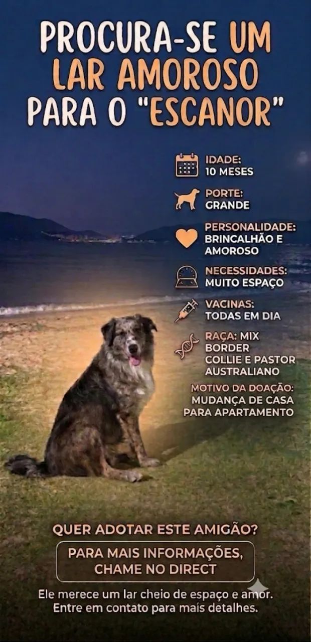 Doação 