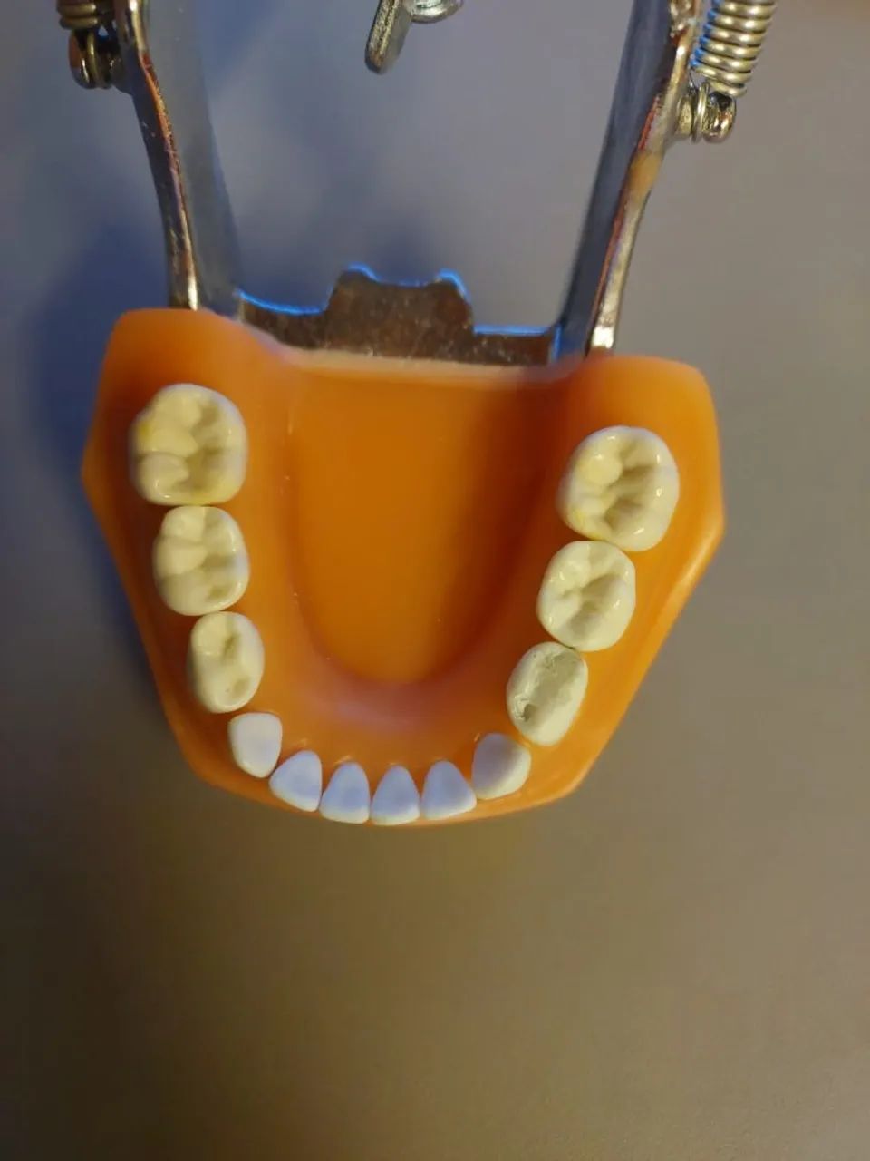 Manequim Odontopediatria Mom (Usado) - Foto 2