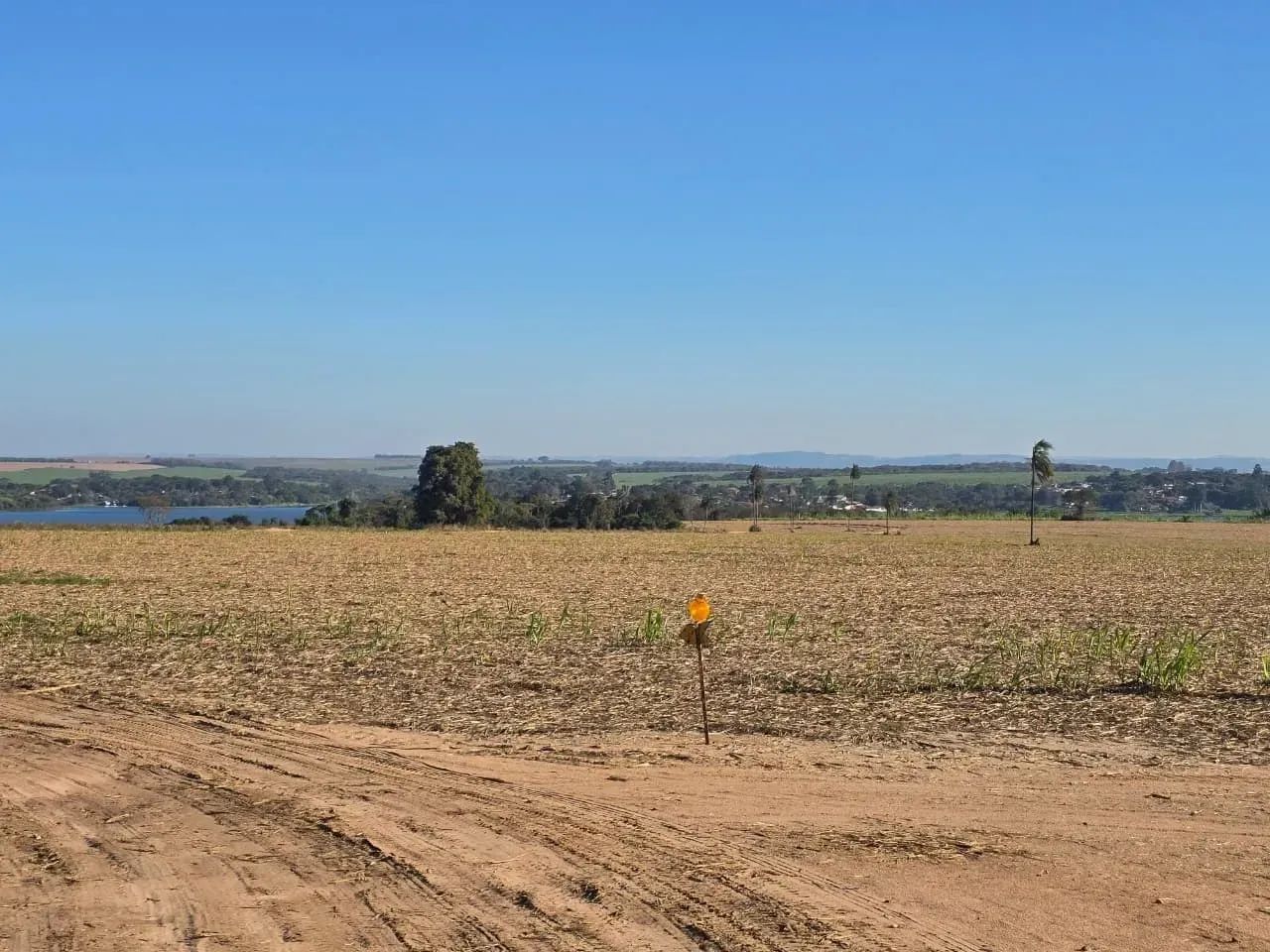 Fazenda a venda Santa Maria da Serra SP - Foto 4