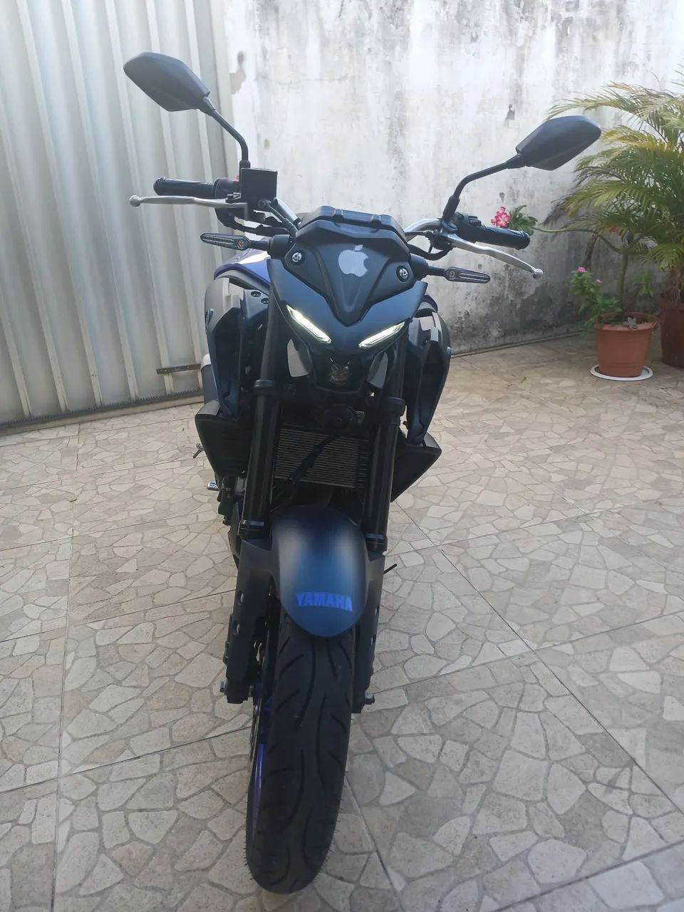 MT 03 2024  - Foto 4