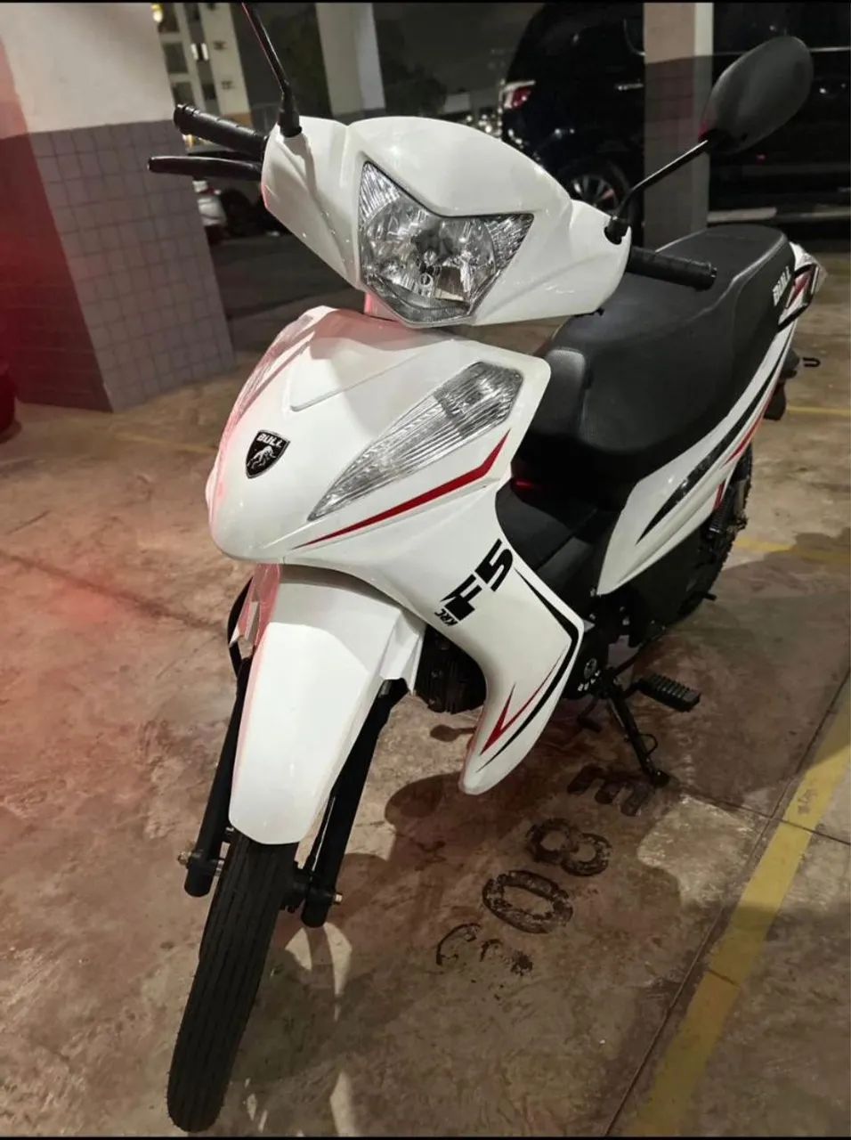 Bull 50 