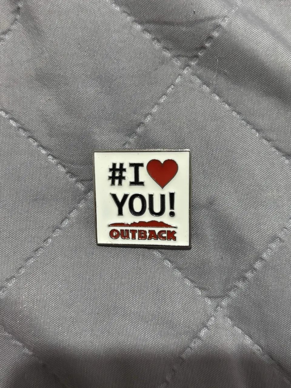 Pin Outback