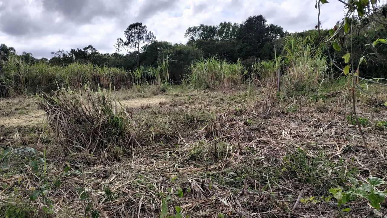 Terreno plano em ratones para alugar - Foto 3