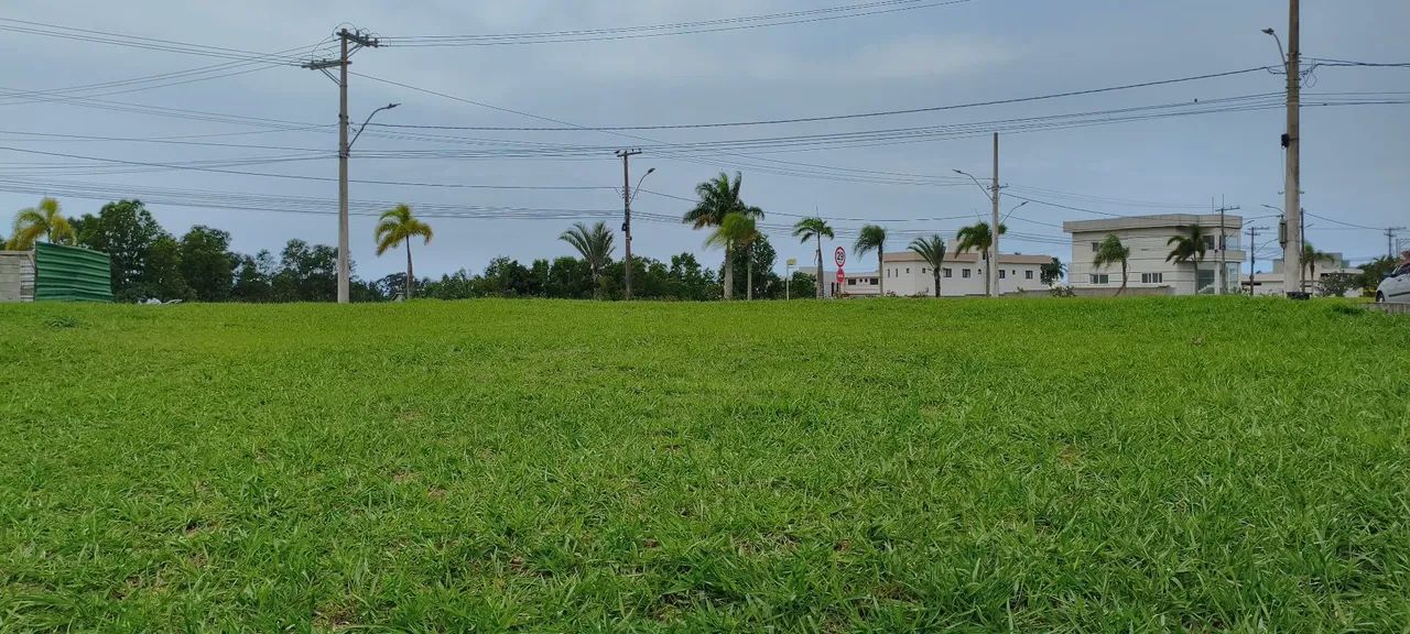Arquipélago de Manguinhos  - Foto 5