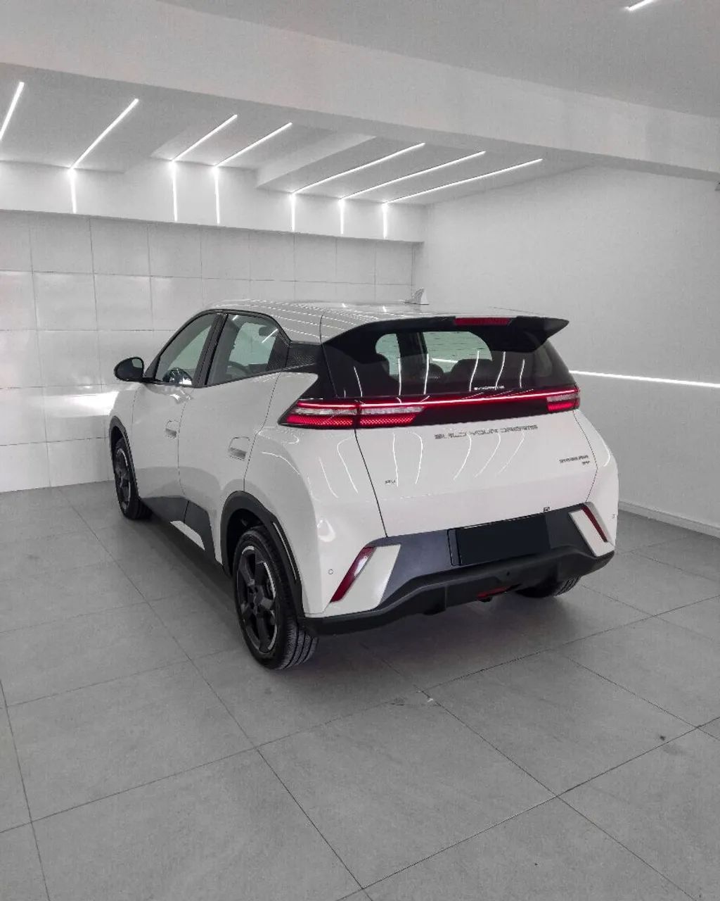 BYD Dolphin Mini (Elétrico) 2025