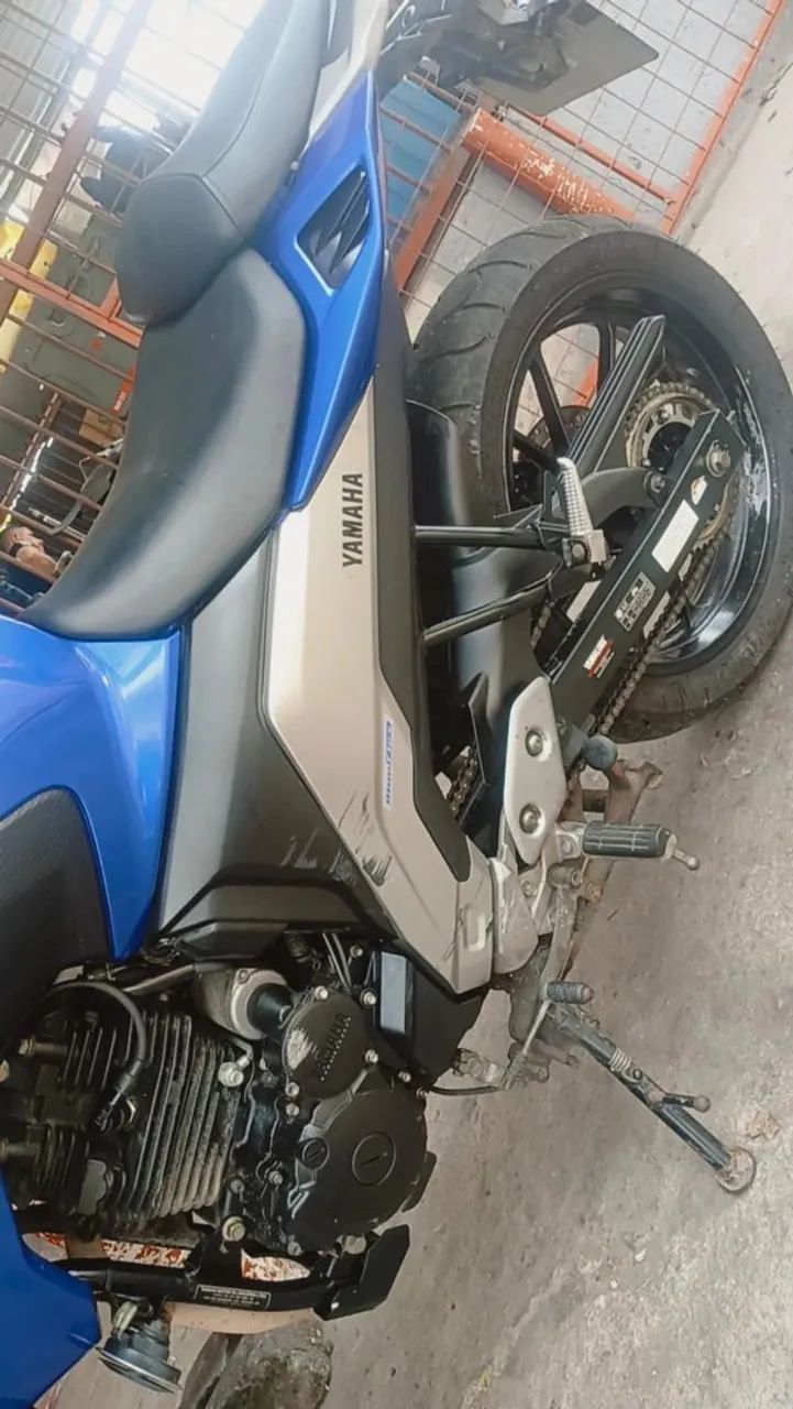 Fezer 250 Ano:2023 - Foto 4
