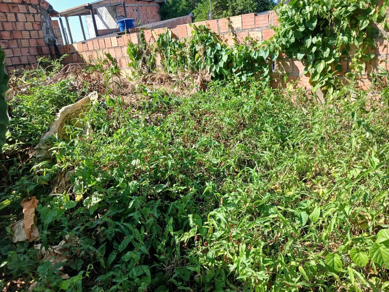 Capinação, e roçagem  - Foto 2