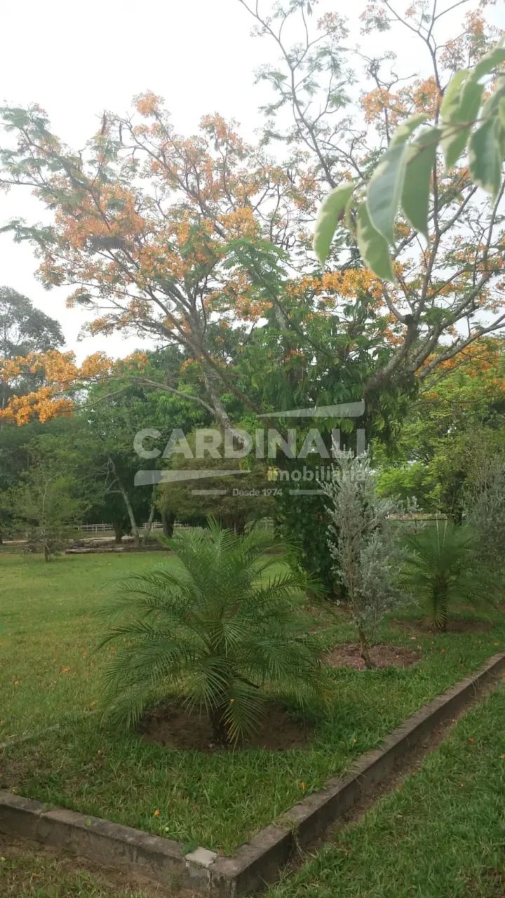 Rural Sítio em Ribeirão Bonito - Foto 4