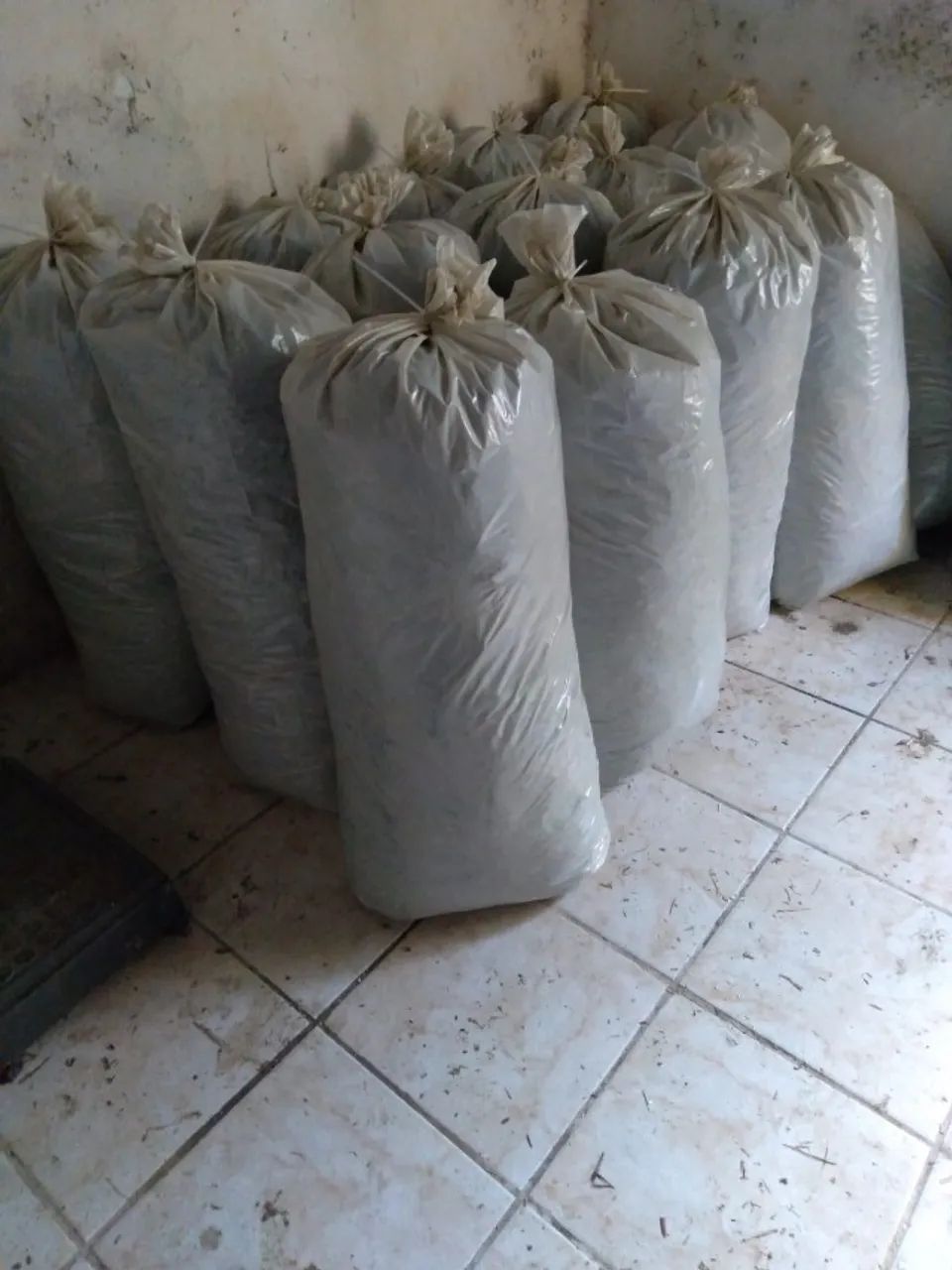 Silagem de Capim - Foto 2