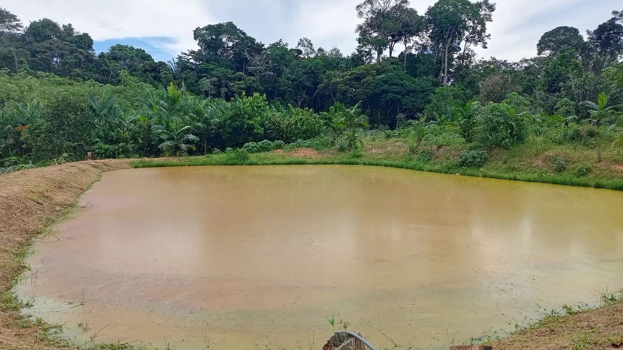 Vendo ou troco sítio  - Foto 3