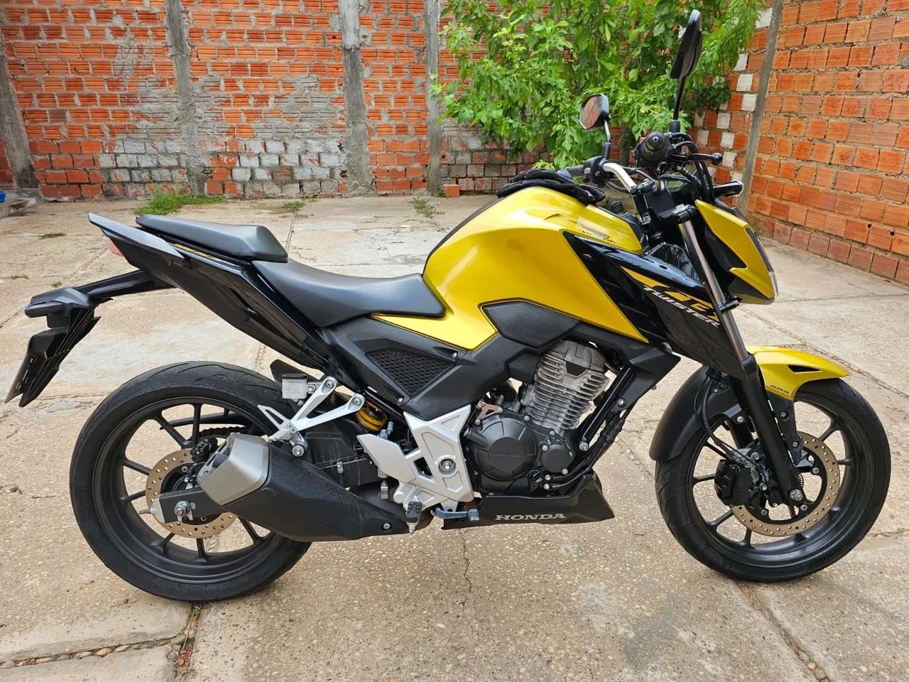 CB 300F 2024 ABS