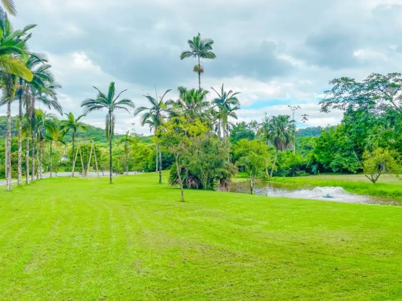 SÍTIO A VENDA BLUMENAU, SC - Foto 3
