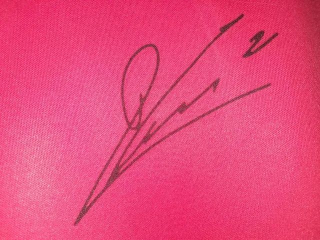 camisa bayern munich 2017 #9 lewandowski autografada certificada - Foto 2