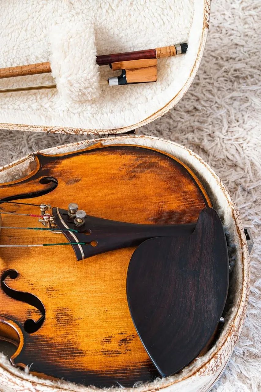 Violino  - Foto 4