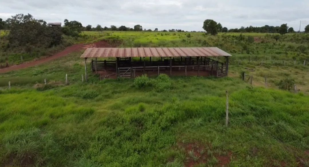 FAZENDINHA BARATA? - Foto 2