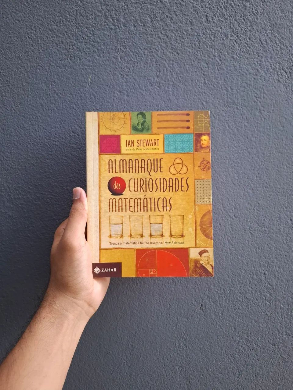 Livro de Matemática Almanaque das Curiosidades Matemáticas para Ler, Estudar e Aprender