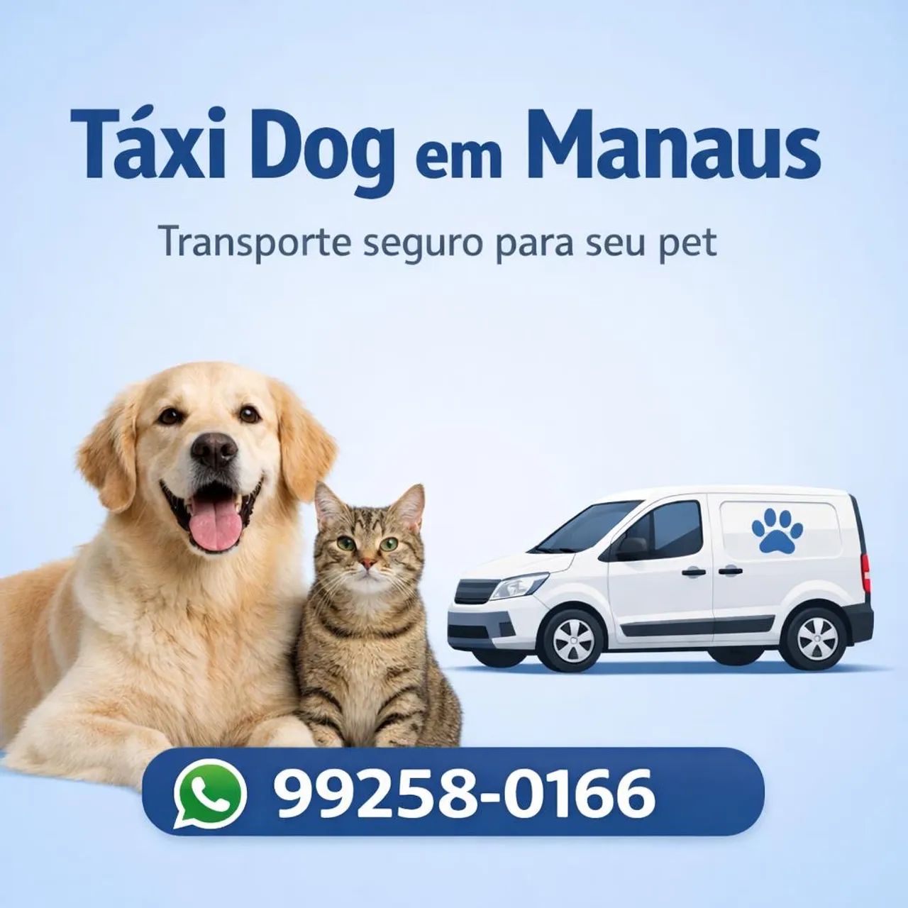 Táxi Dog