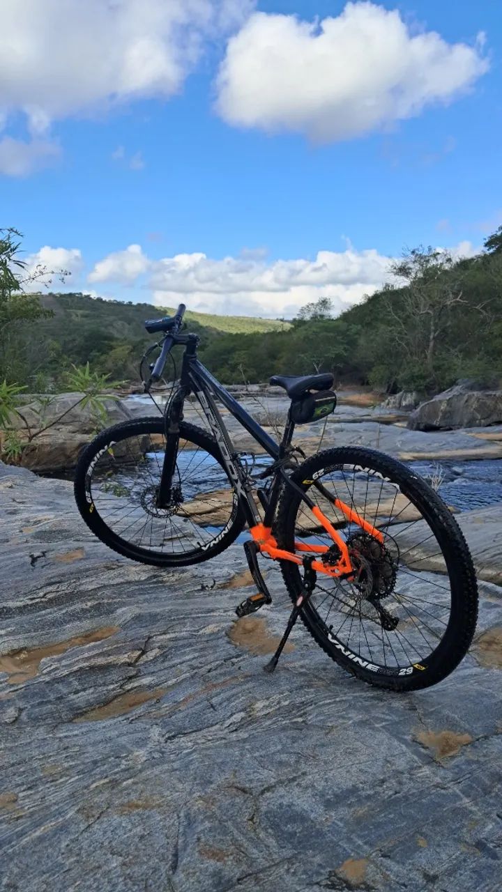 Bicicleta aro 29 ( Personalizada )