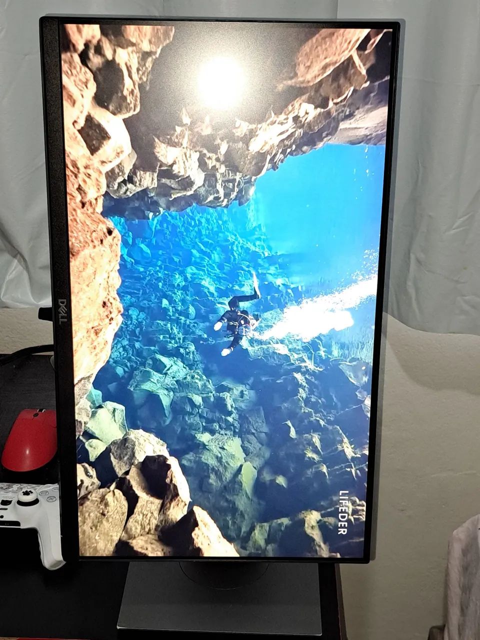 MONITOR DELL P2219Hb - Foto 2