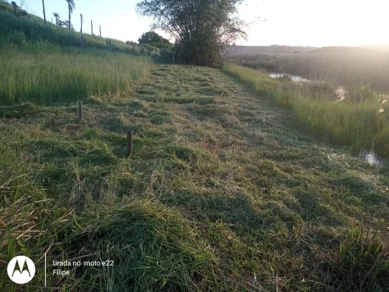 Lote - Terreno - Praia - Foto 2